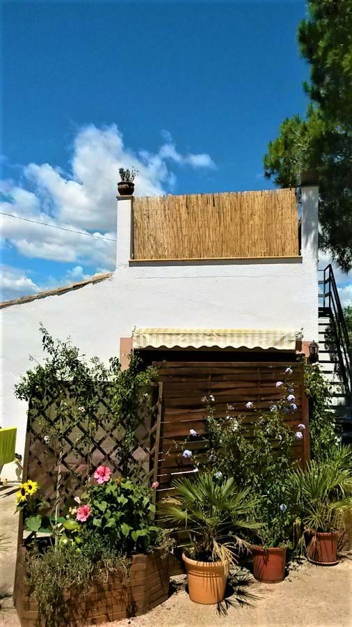 La Casita Villa Manacor  Eksteriør billede